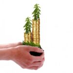 Finansowe Podpowiedzi Dla Początkujących Inwestorów