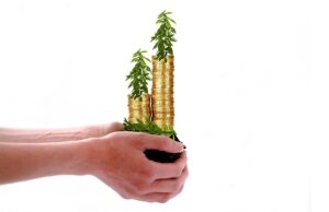 Finansowe Podpowiedzi Dla Początkujących Inwestorów